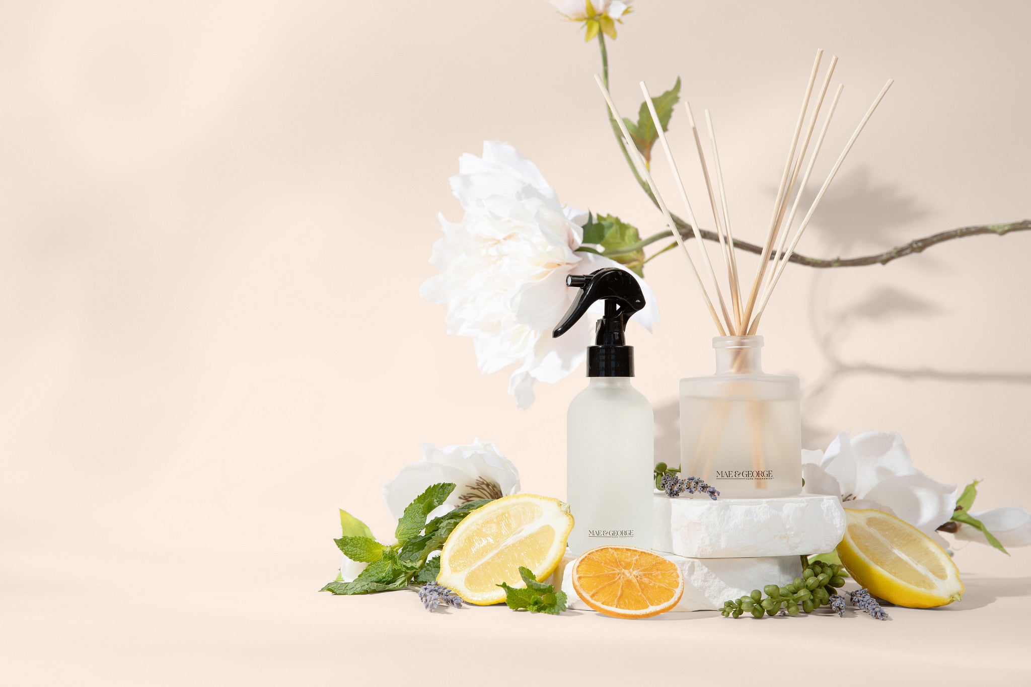 THE WELLNESS COLLECTION