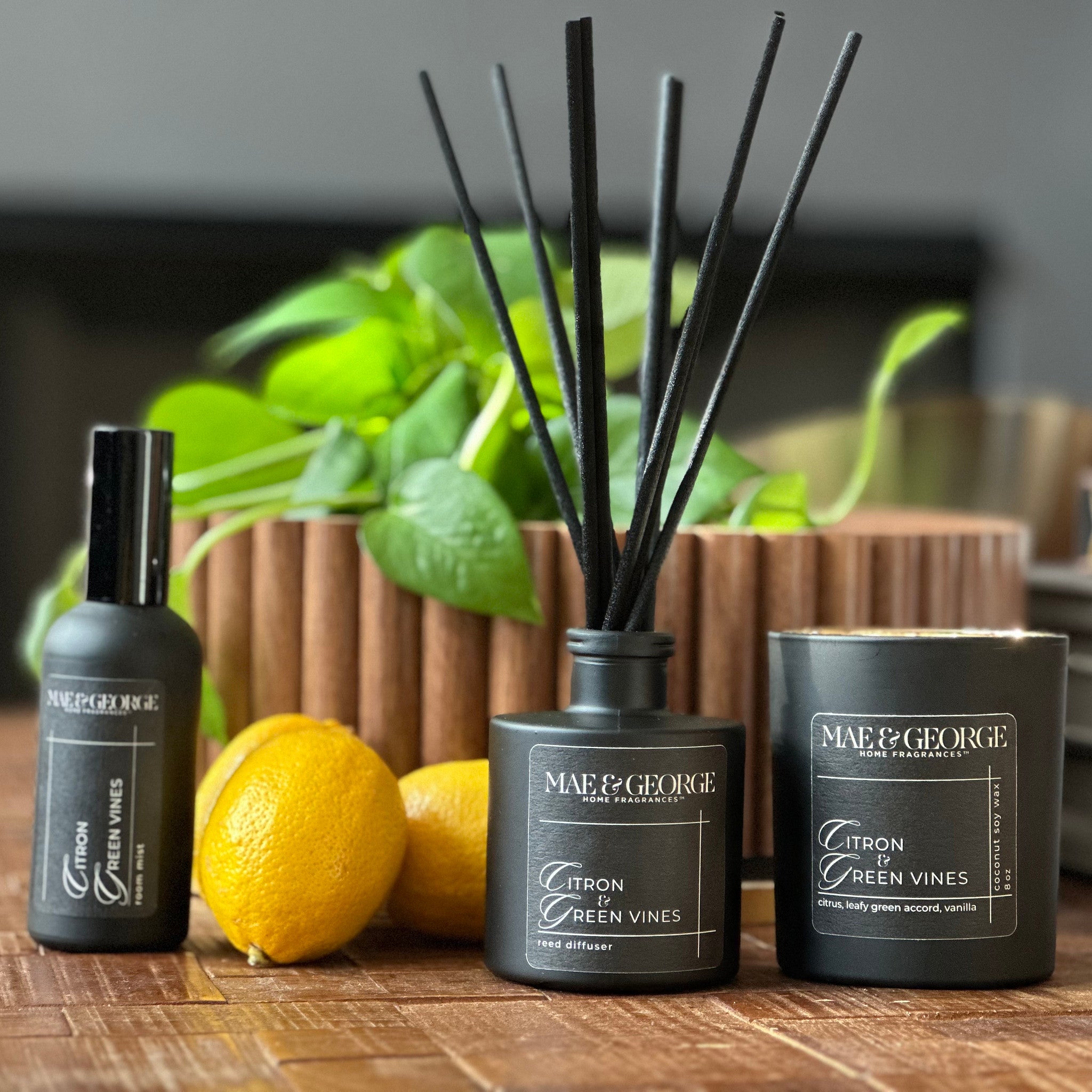 Citron & Green Vines Candle | Limited Edition Vessel